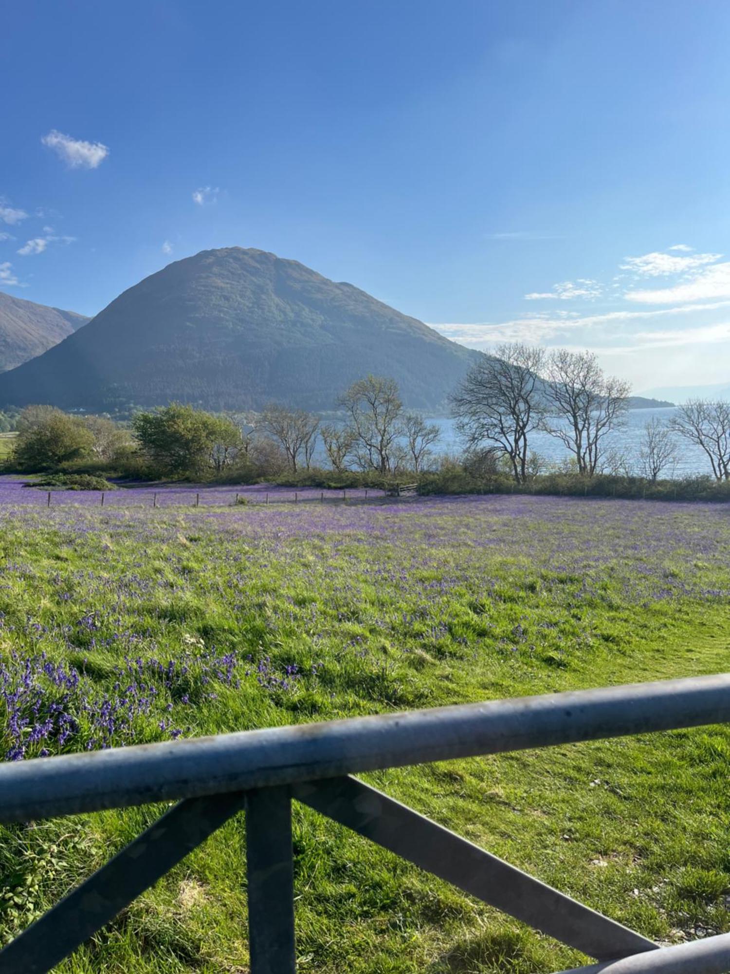 View Of The Mountain Appartement North Ballachulish Buitenkant foto